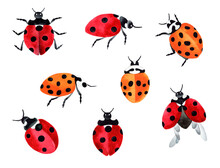 Hand Painted Watercolor Illustration Big Set With Red And Yellow Ladybugs. Isolated Objects On Transparent Background.