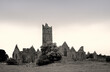 Quin Abbey, County Clare, Ireland. Founded by the Franciscan order in 1433.