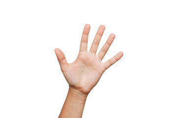 Wall Mural - Female hand showing five fingers sign isolated on white background. The woman shows her palm. Greeting hand sign