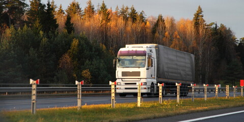 Wall Mural - European semi truck front view on highway road at autumn day on yellow forest background in Europe