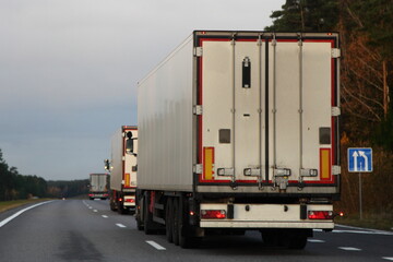 Wall Mural - White heavy trucks convoy on countryside highway road. Goods delivery in Europe