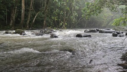 Poster - waterfall in rainforest with rain