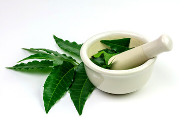 Medicinal Neem leaf in mortar and pestle white ceramic and neem leaf isolated on white background. Green leaf in South East Asia. Azadirachta indica var. siamensis valeton. 