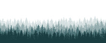 Forest Background, Beautiful Landscape Wallpaper. Silhouettes Of Fir Trees. Vector Illustration
