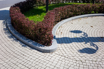 Wall Mural - flower bed in a landscape recreation park with juniper and barberry bushes