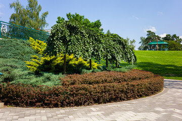 Wall Mural - Landscape park with green bushes