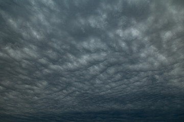 Wall Mural - A dramatic cloudscape of undulatus asperatus clouds