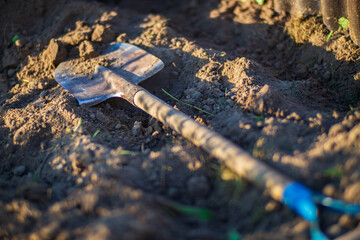 Farmer's garden tool - shovel. Gardening concept. Agricultural work on the plantation