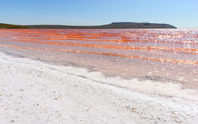 The Shore Of A Pink Lake Covered With Salt Crystals. Selective Focus On The Salt Crystals And The Water's Edge In The Foreground.
