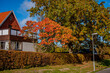 Autumn house