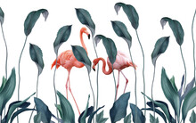 Tall Plants And Flamingos Wallpaper Design, Pink Birds, Natural Background, Isolated On White Background.