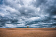 © Cavan Images - lone tree in plowed farm field with stormy sky