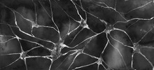 Neurons Black And White Illustration Watercolor Neurology Mental Health.
