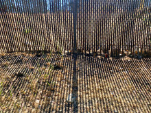 Backyard Chain Link Fence Slats Yard Security Fencing Sunlight Shadow Ground
