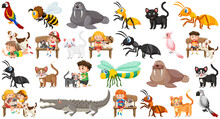 Set Of Various Wild Animals In Cartoon Style