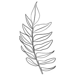 Black Doodle Leaf organic line art. Fern leaves.