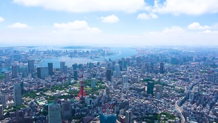 Wall Mural - Aerial view of Tokyo