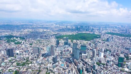 Wall Mural - Aerial view of Tokyo