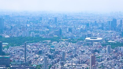 Wall Mural - Aerial view of Tokyo