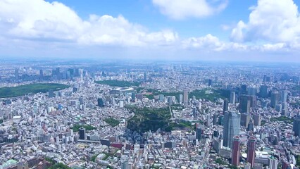 Wall Mural - Aerial view of Tokyo