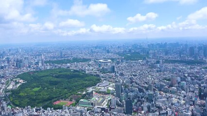 Wall Mural - Aerial view of Tokyo