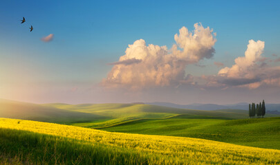 Wall Mural - art Impressive spring landscape, view with cypresses and farm fields, Tuscany, Italy, countryside rolling hills