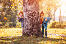 Group Of Children Hiding Behind The Tree Trunk