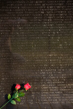 Vietnam Veterans Memorial, Washington D.C., USA