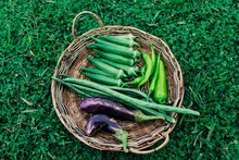 Top View Shot Of Pepper, Slim Eggplants, Okra And Green Beans On Wooden Basket On Grassland