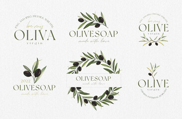 Logo for cosmetics, Olive oil, olive soap. olive branches