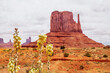 Digitally created watercolor painting of yucca flowers with the East Mitten Butte at Monument Valley.