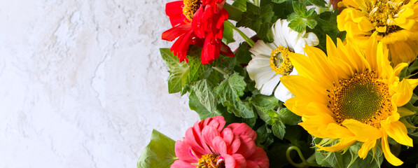 Wall Mural - sunflower and zinnia flower on light background, space for text