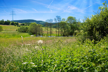 Wall Mural - a field in the summer against the background of sunlight sky.