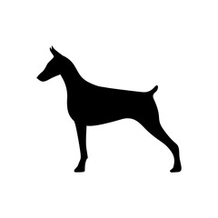 Wall Mural - Doberman silhouette black. Dog vector illustration