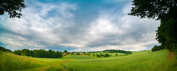 Canvas Print - panorama of a green summer field with a path