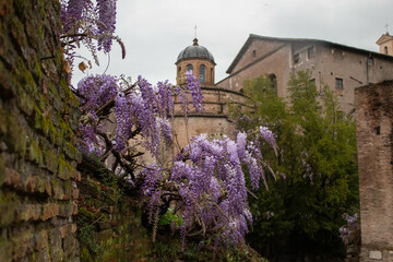 church of st john the baptist