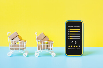 Wall Mural - consumer reviews concepts with report score on application smartphone and product box order.business