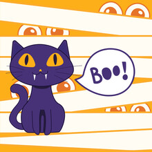 Peek A Boo Violet Cat On Gauze Background.