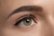 © New Africa - Young woman with permanent makeup of eyes and brows, closeup