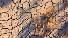 Dynamic Shot Of Cracked Soil Ground Of Dried