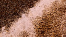 Dynamic Shot Of Cracked Soil Ground Of Dried