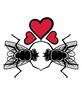 Verliebte Stubenfliegen Paar Herzen 