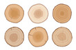 Set of tree cross sections. Wooden elements with tree rings.Isolated on white background. Flat style, vector illustration. 