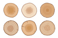 Set Of Tree Cross Sections. Wooden Elements With Tree Rings.Isolated On White Background. Flat Style, Vector Illustration. 