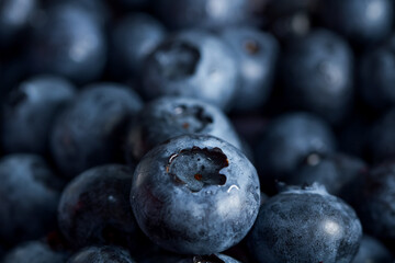 freshly picked blueberries