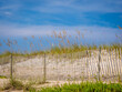 Snow fence in sand dunes on the Atlantic Ocean beach in Washington Oaks Gardens State Park in Palm Coast Florida USA