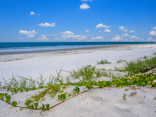 Wall Mural - Empty Atlantic Ocean beach in Northeast Florida USA