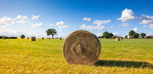 Wall Mural - Paysage en campagne, meule de foin dans les champs en France au printemps.