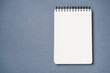 School notebook on a paper gray background, spiral notepad and craft cardboard pen