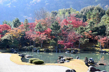 Sticker - 京都大本山天龍寺の日本庭園の紅葉風景